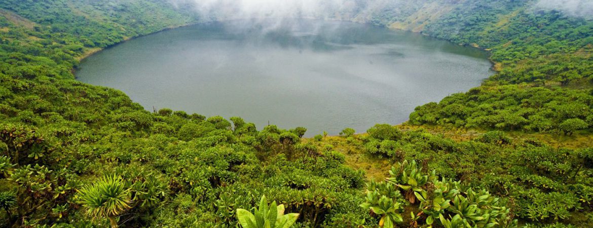 1 Day Bisoke Hike Adventure