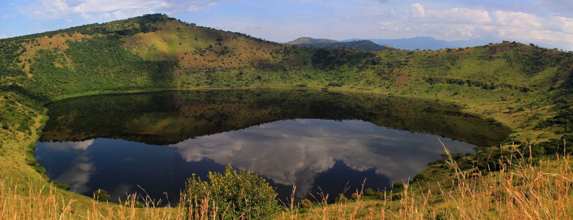 3 Days Queen Elizabeth Wildlife Safari