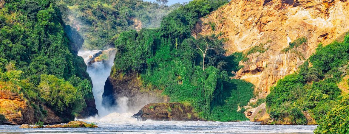 4 Days Murchison Falls Safari